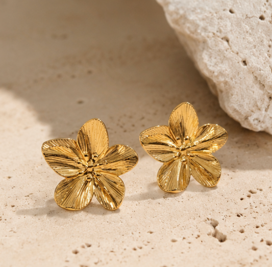 BOUCLES D'OREILLES VALENSOLE 🌸