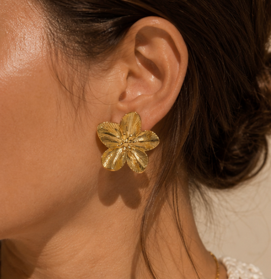 BOUCLES D'OREILLES VALENSOLE 🌸