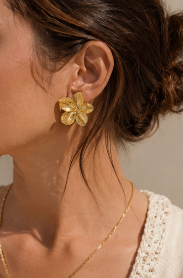 BOUCLES D'OREILLES VALENSOLE 🌸